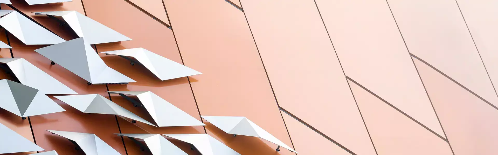 Photo & Video Gallery